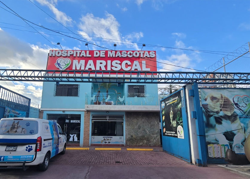 Hospital de Mascotas Mariscal